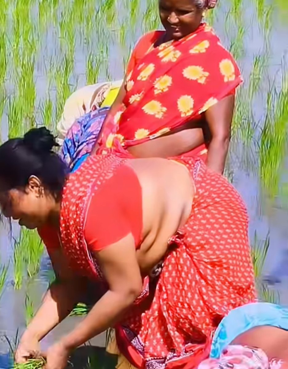 holyfuck202's tweet photo. Otha en amma vijaya 100 naal velaiku pova anga vela seiyabothu podava pavadaiya thokkitu vela seiva paaru aniku evana pathu mood aii ookkuruthu ney apudi pova thevdiya aniku kala ollu vangi 1000 vangiruva nattukattai thevdiya https://t.co/INl1AhjxUB