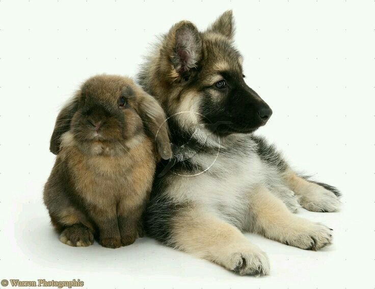 ashyaywoohoo's tweet photo. this is me and my best friend. heh... we're so badass. https://t.co/wHTArNored