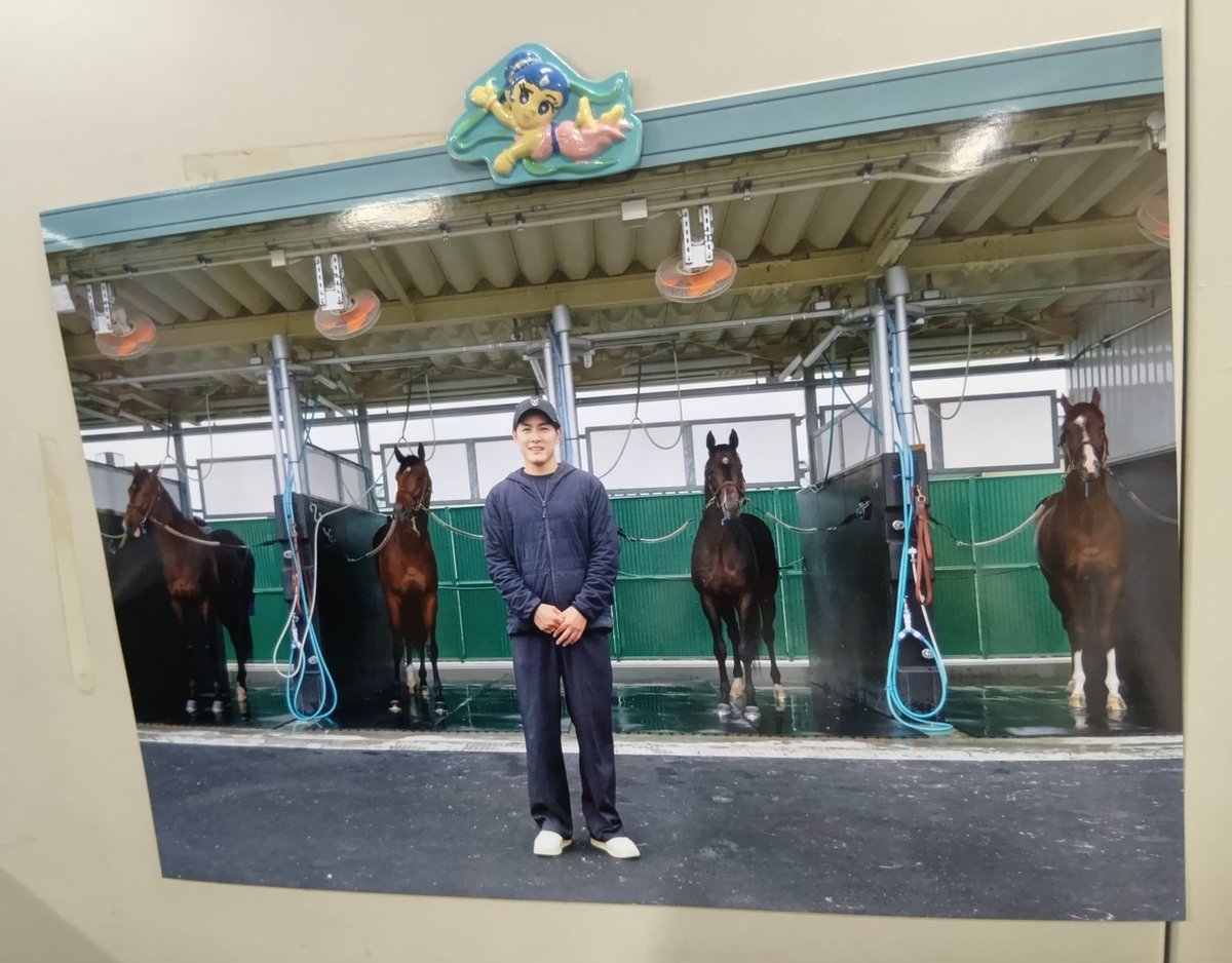 sponichikeiba's tweet photo. 東京本社レース部内では
この写真良かったよね📷️と
ダービー４頭出し
上原佑紀厩舎のワンショットを
飾っています。

これも先生のご協力があってこそ。
#菊花賞 優勝
おめでとうございます👏

左から２頭目が
#ゴーイントゥスカイ です🐴

#スポニチ #競馬 #ＪＲＡ https://t.co/AMBqp85UqY