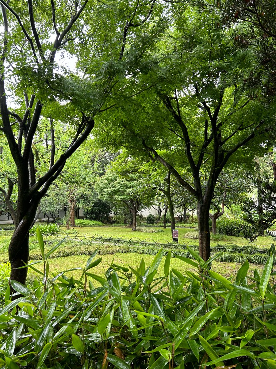 mika20120115's tweet photo. [毕夹圃]の隅で、ひっそりと佇む植物たち。自然の息吹を感じる一瞬。 https://t.co/IIGKhpX6df
