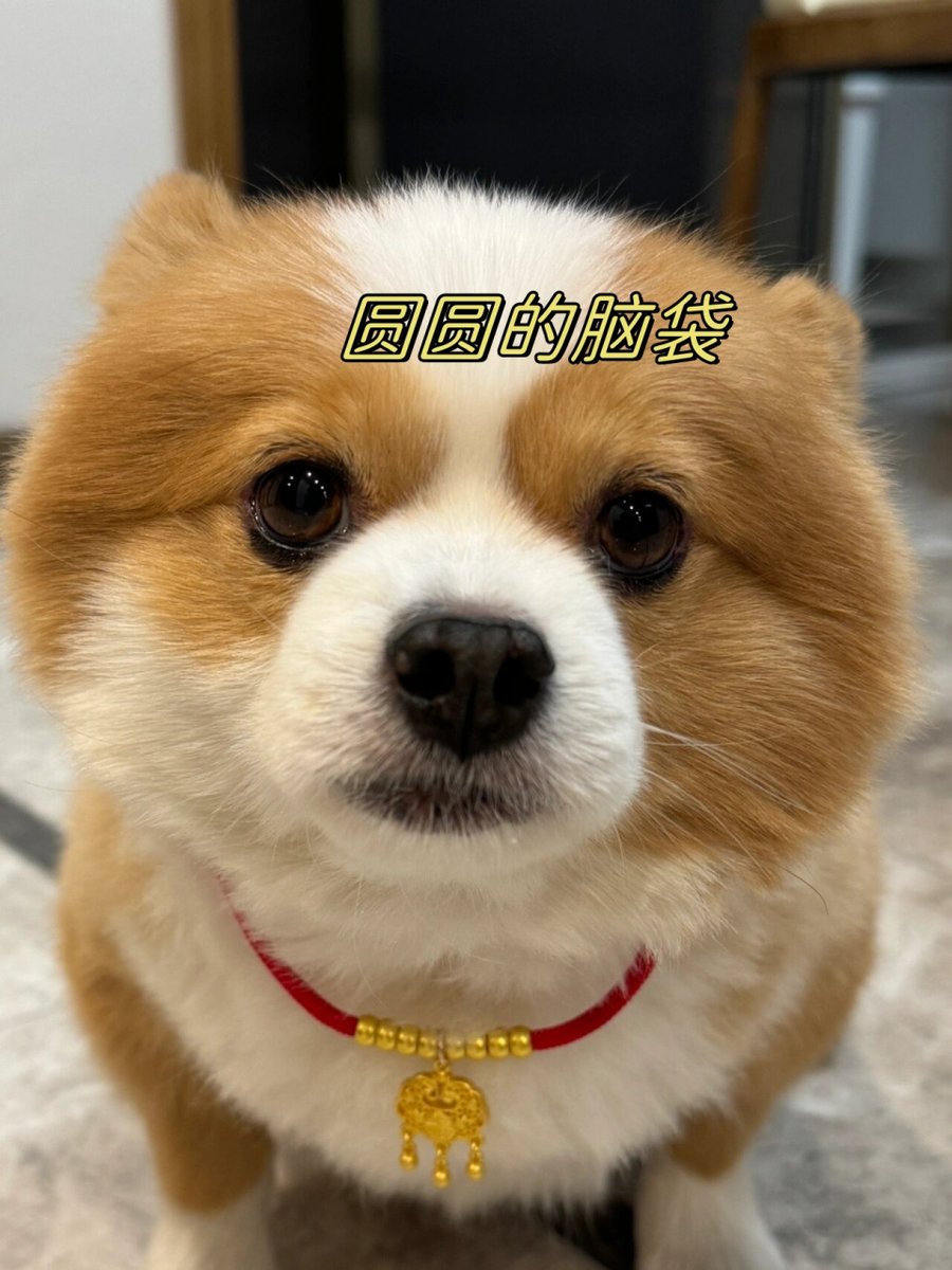 chaus02383767's tweet photo. [栽苟赫]の名前、なんだか響きが面白くてつい反応しちゃった https://t.co/JfnywAoxdr