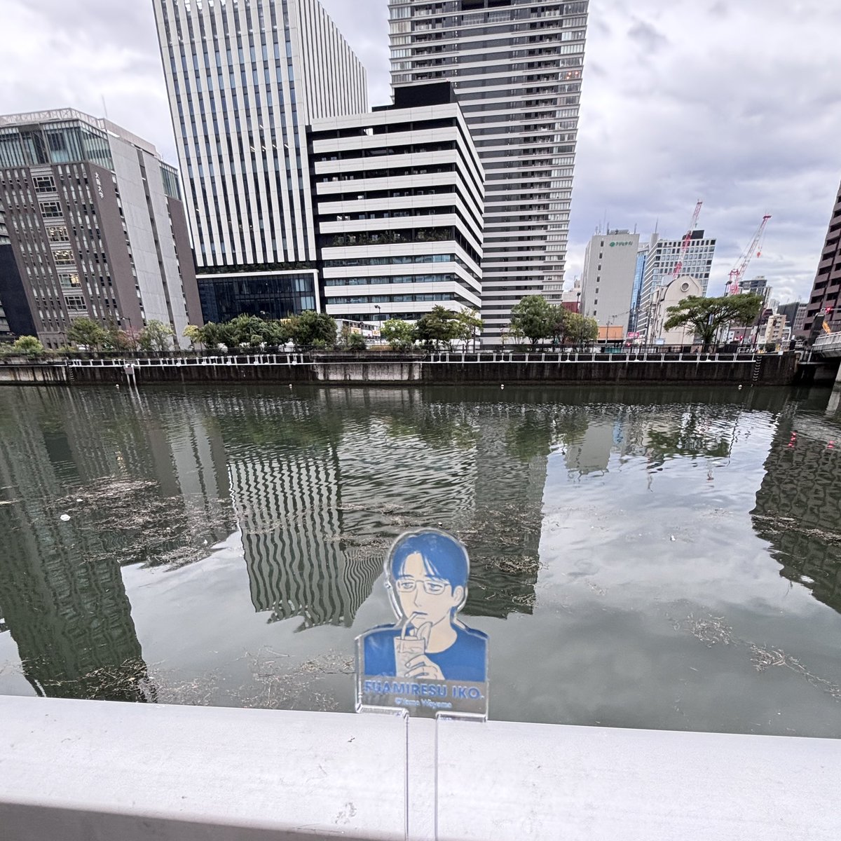 kabosu03310503's tweet photo. 聖地巡礼なう！
こんな小汚い（汚いじゃないよ？小汚いだよ？マジで都会の小汚い水！）川に！飛び込もうとしたんか成田！おいハグせえよ！！！ https://t.co/JKgQJujMrD