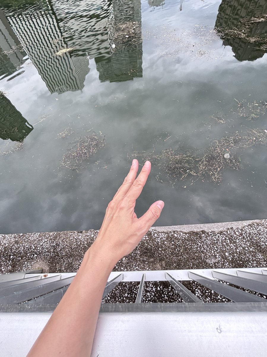 kabosu03310503's tweet photo. 聖地巡礼なう！
こんな小汚い（汚いじゃないよ？小汚いだよ？マジで都会の小汚い水！）川に！飛び込もうとしたんか成田！おいハグせえよ！！！ https://t.co/JKgQJujMrD