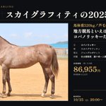 Photo by 地方競馬共有馬主クラブ「SSオーナーズクラブ（仮）」 (@SS_owners)