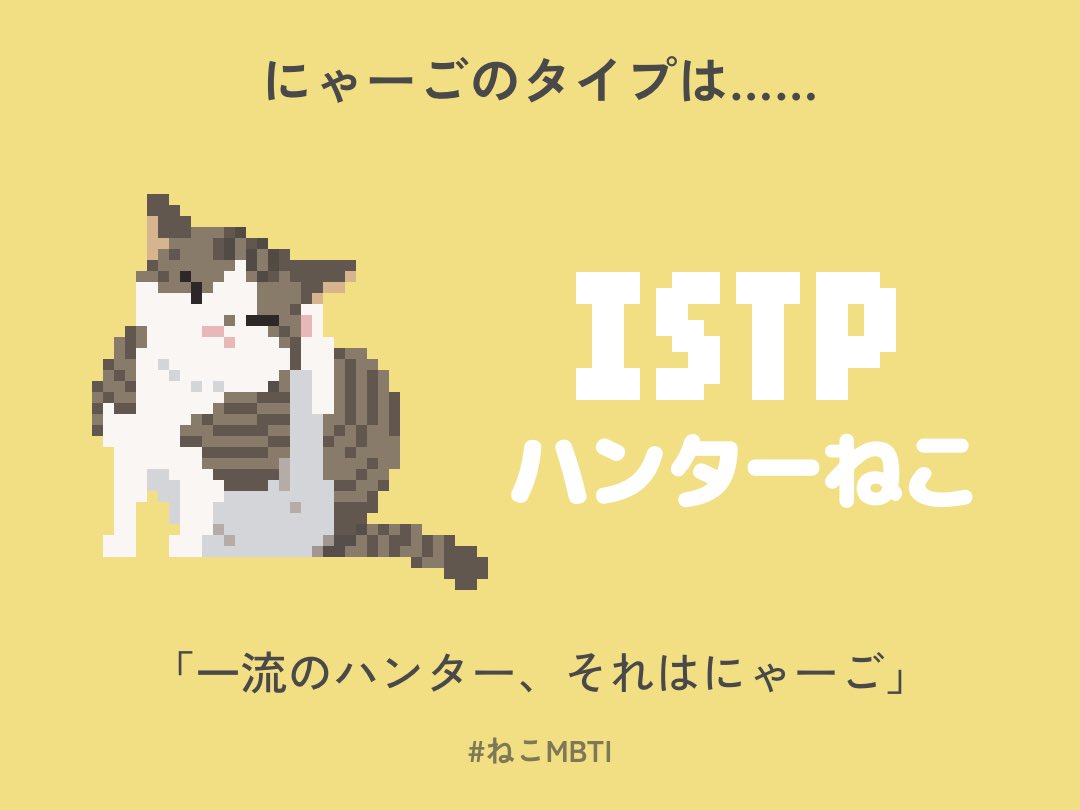 pgymf's tweet photo. #ねこMBTI https://t.co/81nxjQxoLM