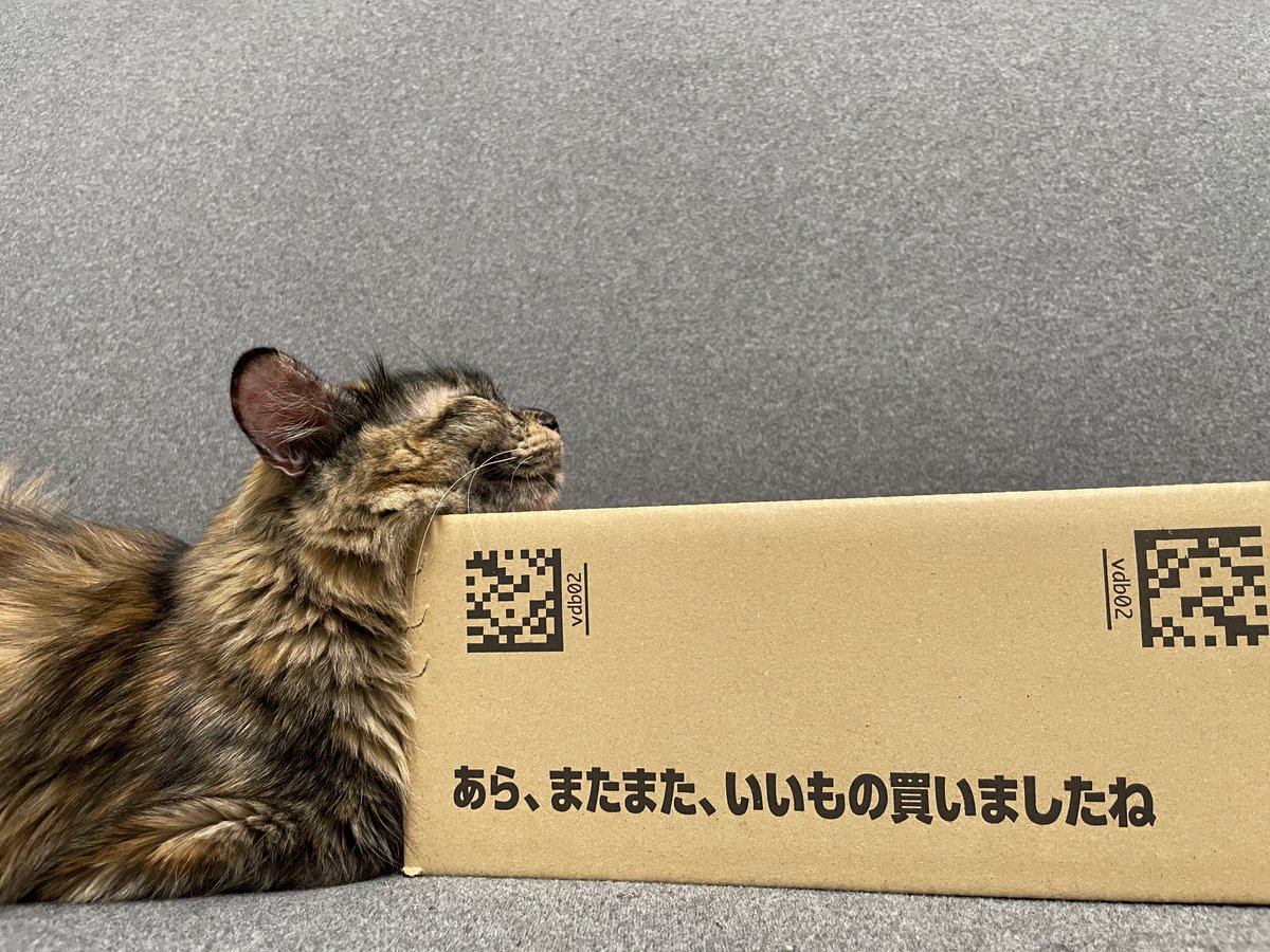 ms_burube's tweet photo. あら、またまた、いいもの買いましたね https://t.co/BIBxuWW5Pk