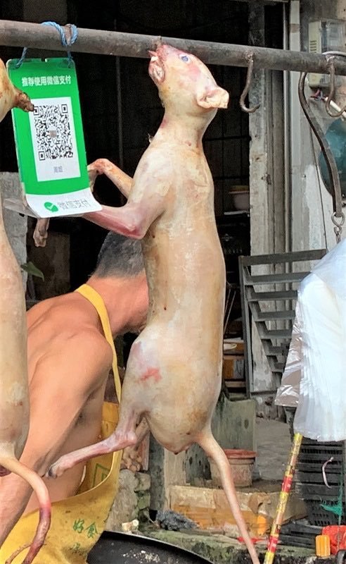 meltwm01s's tweet photo. 🤢🤮🇨🇳; https://t.co/4PcDrx9QM5