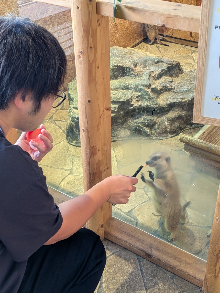 maipe_akb's tweet photo. お母さんと弟を羽田空港でお見送りして、自宅に帰り中～
充実した3日間だった♪
ホテル周辺がメインだけど、わりとあちこち行けて良かったな(*˘︶˘*).｡.:*♡ https://t.co/OjAjIOAePC