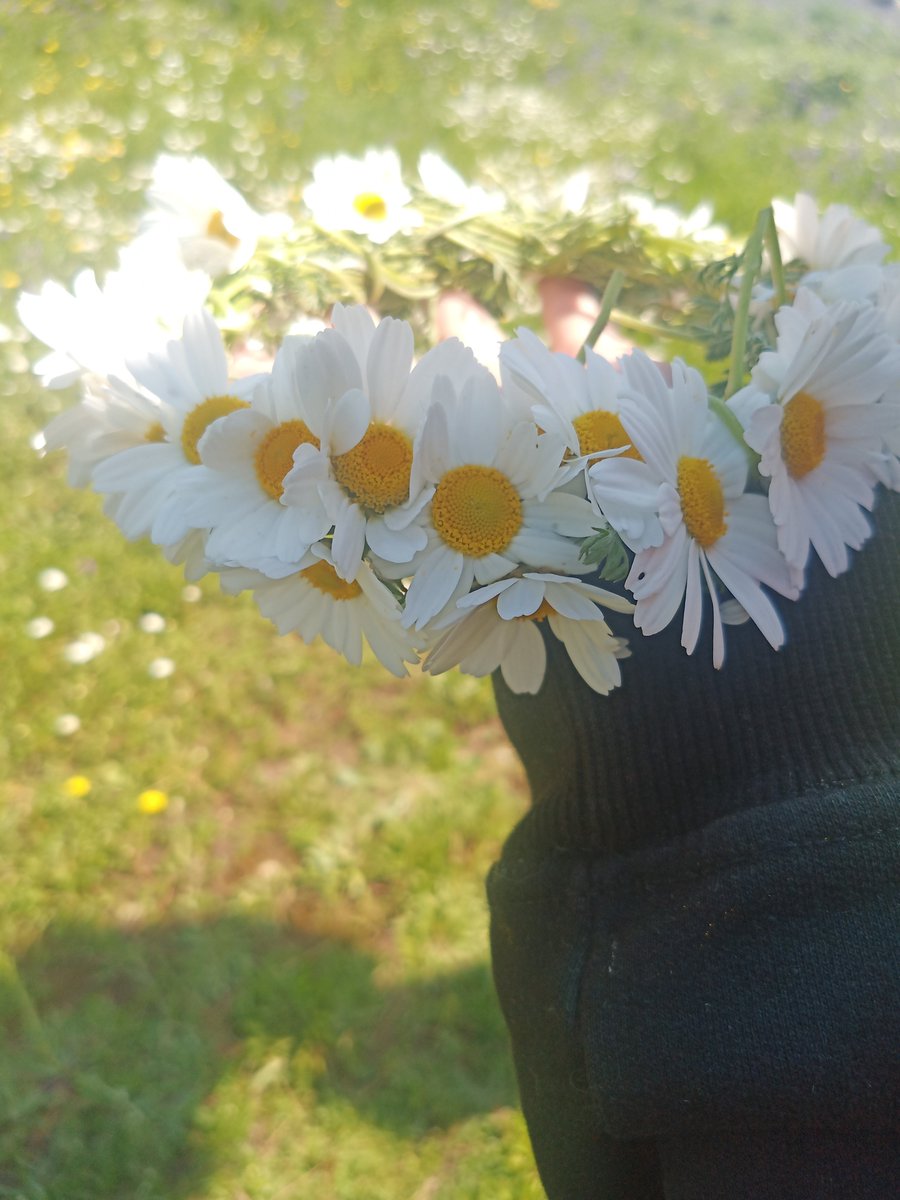 Sapi11k's tweet photo. Aprendí a hacer una corona de flores :3 https://t.co/8KIIIPvz8N