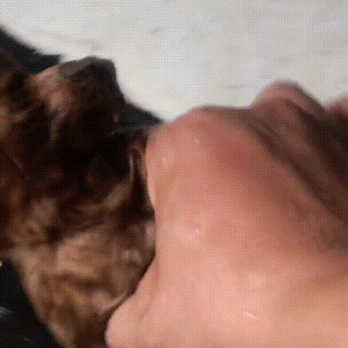 c2ce7nOG4Z74895's tweet photo. 雨で地面が少し淹れ込んだ道で、猫が壁に偎れるのを准備し、餌を觅んで足元を踩んだ。 https://t.co/mAgbhE12zz