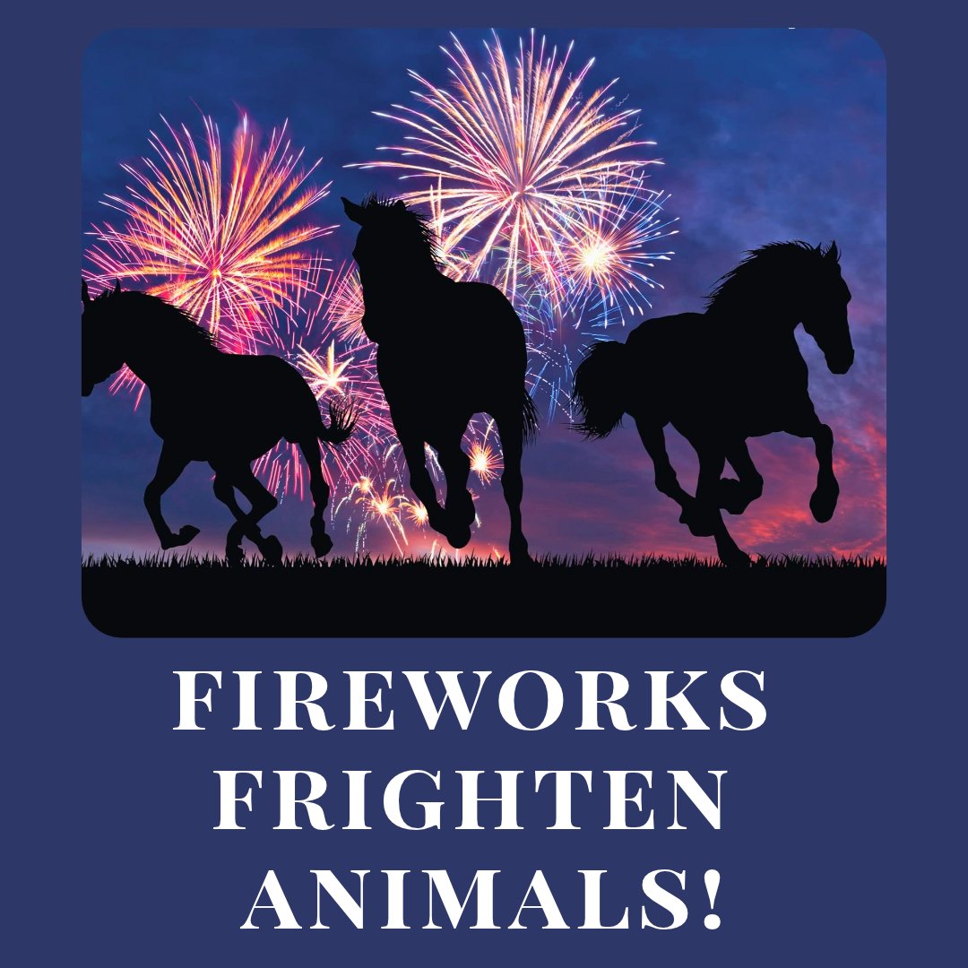 manechance's tweet photo. It's fireworks season again and sadly this will mean that more animals (not just horses) will lose their lives through fear or accidents caused by fear. https://t.co/zAwbDN0bj7