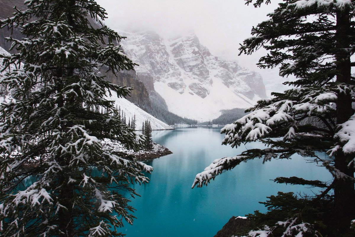 RagnarValen's tweet photo. 🏞️ Moraine Gölü
📍 Banff Ulusal Parkı, Alberta · Kanada 🇨🇦
💙 Buzul suyuyla turkuaza boyanan göl, karlı çamlar ve on zirvenin arasında kartpostal gibi duruyor ❄️
📸 https://t.co/vIkKlJ4Sgi https://t.co/1uBgwjr74L
