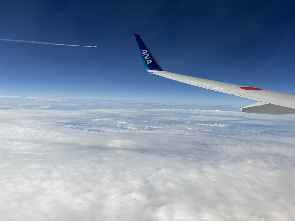 aosepone's tweet photo. 修学旅行行ってきたよ〜 https://t.co/XV7LIaCpDU