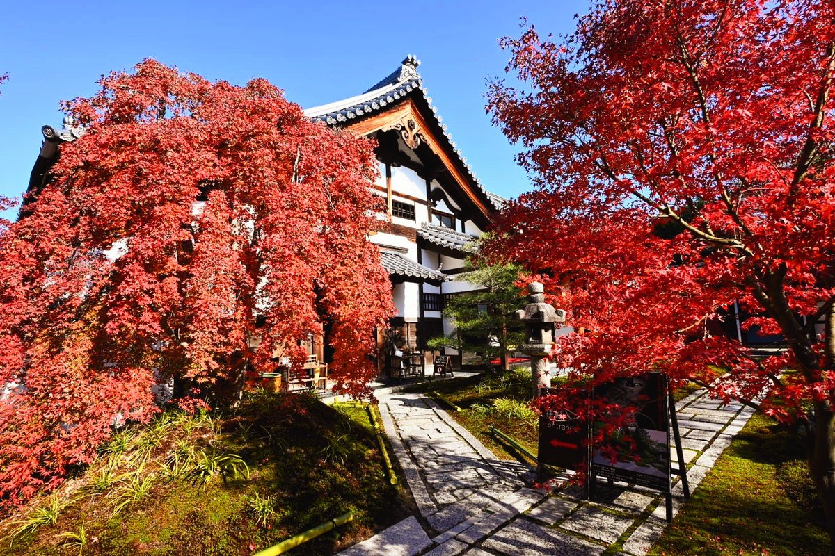 _mint1996's tweet photo. 京都・紅葉の名所🍁🍂𓂃𓈒𓏸
　　（四季編🫧༄）　
南禅寺
西来院（建仁寺塔頭）
旧三井家下鴨別邸
祇園白川

写真③→旧三井家下鴨別邸
秋の特別公開
　主屋2階・3階望楼
　　　　　（3階望楼は事前予約制） https://t.co/YzxCtpVb98