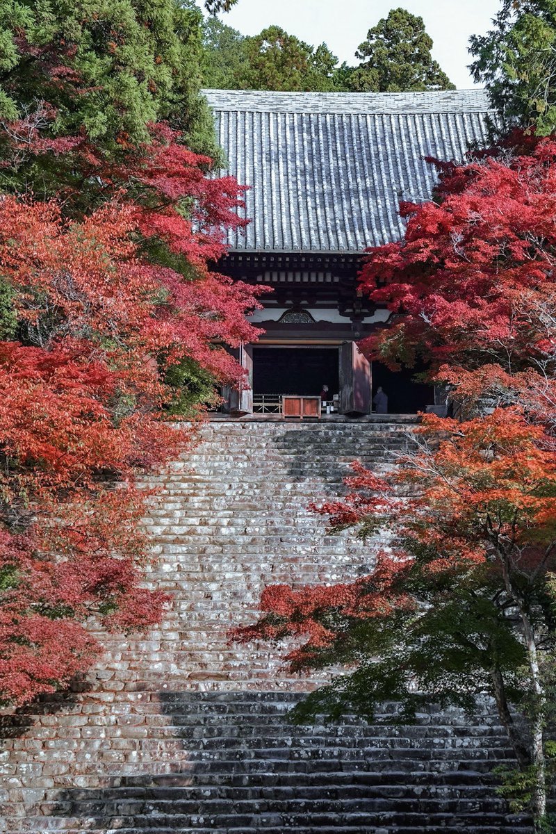 3m1ek's tweet photo. これ全部、11月前半までに見られる京都の紅葉なんです https://t.co/x8c3Ln8PJj
