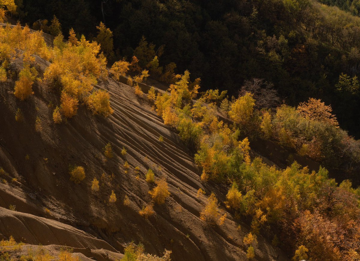 guycalledfrank's tweet photo. Autumn here is still crazy beautiful (Tornička Bobija, western Serbia) https://t.co/8T8b7QoARq