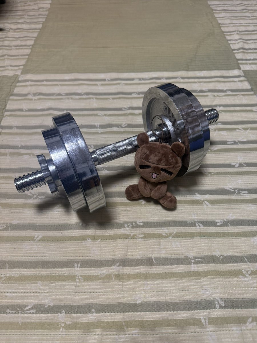 kkkkkotatu's tweet photo. #結ヶ丘女子高等学校筋トレ部 
#えもとも筋トレ部
141日目

昨日写真撮るだけ撮って投稿忘れてたので供養 https://t.co/i2sdbzuckw