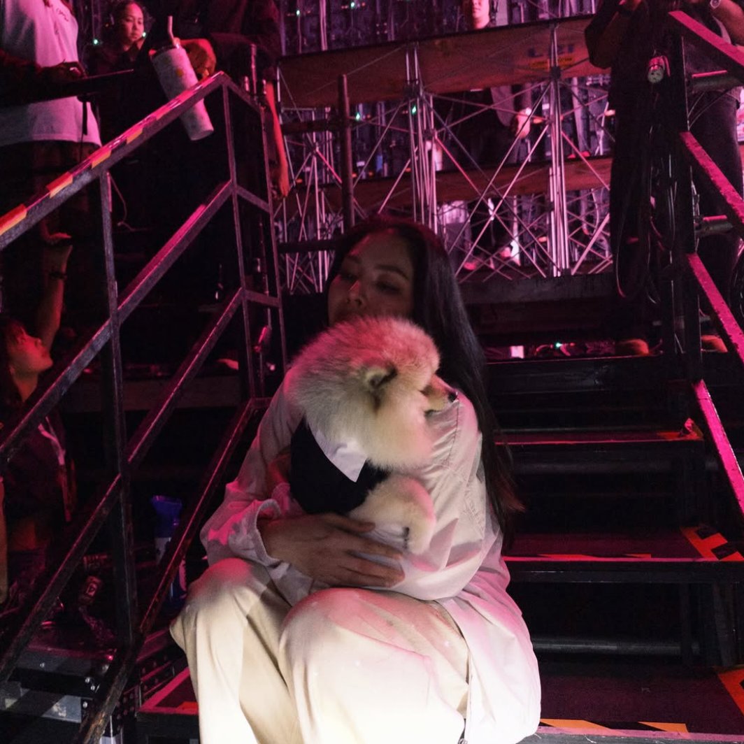 aceriie's tweet photo. sunny best boy 🐶❤️‍🩹 https://t.co/5s6FT6SHg0