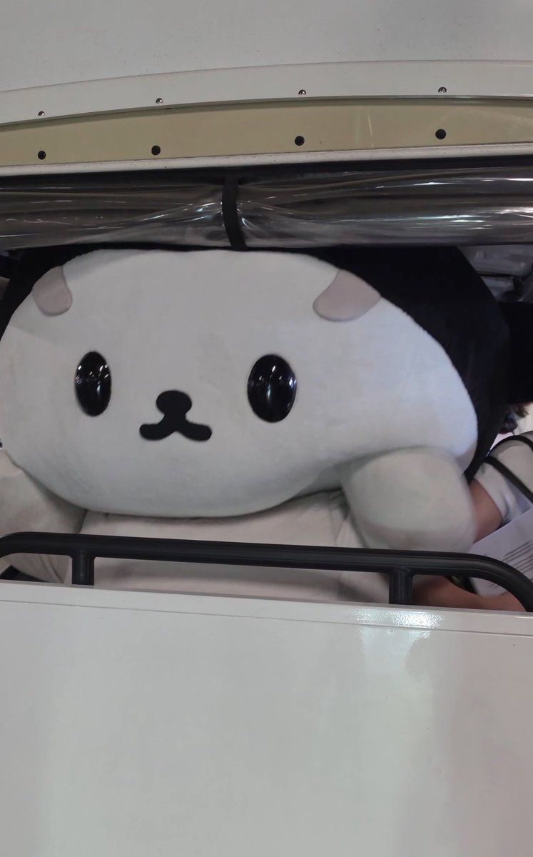 nownee_now's tweet photo. น่ารักมากกกก https://t.co/3mFr93EdgR
