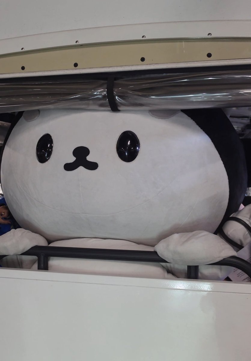 nownee_now's tweet photo. น่ารักมากกกก https://t.co/3mFr93EdgR