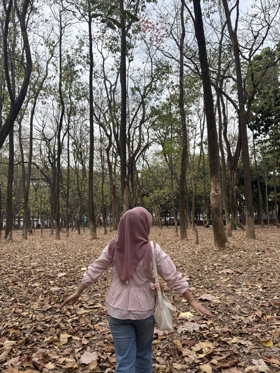 cebeuntin's tweet photo. 🍂🍁🪵🐿️ https://t.co/aLoG0iBmBL