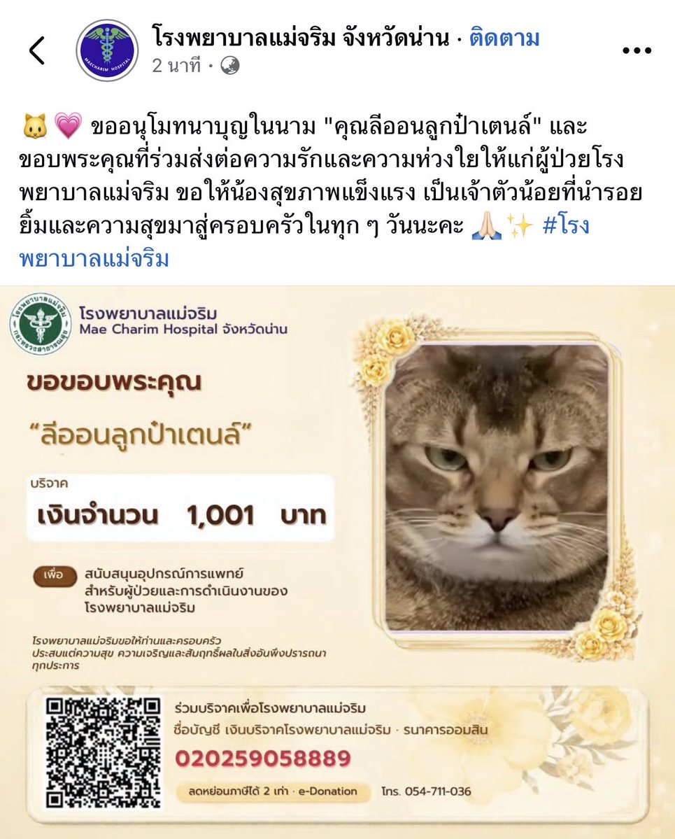 NaCmAzaa's tweet photo. นี้ๆๆ ของฉันมาแล้ว 
ฝากไปเอ็นดูอ้วนหน่อยคร้าบบบบบ 

https://t.co/VfBVV4Z4C6 https://t.co/V0I5aRrJij