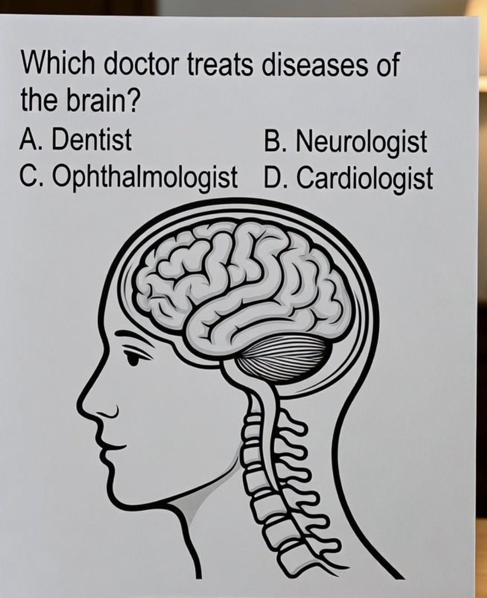 mostechcodeX's tweet photo. Who treats the brain 🧠 https://t.co/Jk5cbdf7Yu
