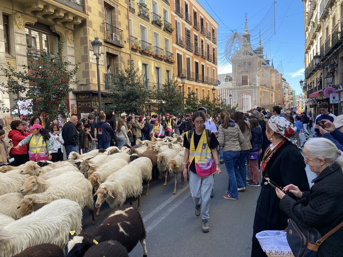 CANAL33's tweet photo. Folclore y reivindicación se dan la mano en la Fiesta de la Trashumancia #Madrid https://t.co/3dineCVvcG