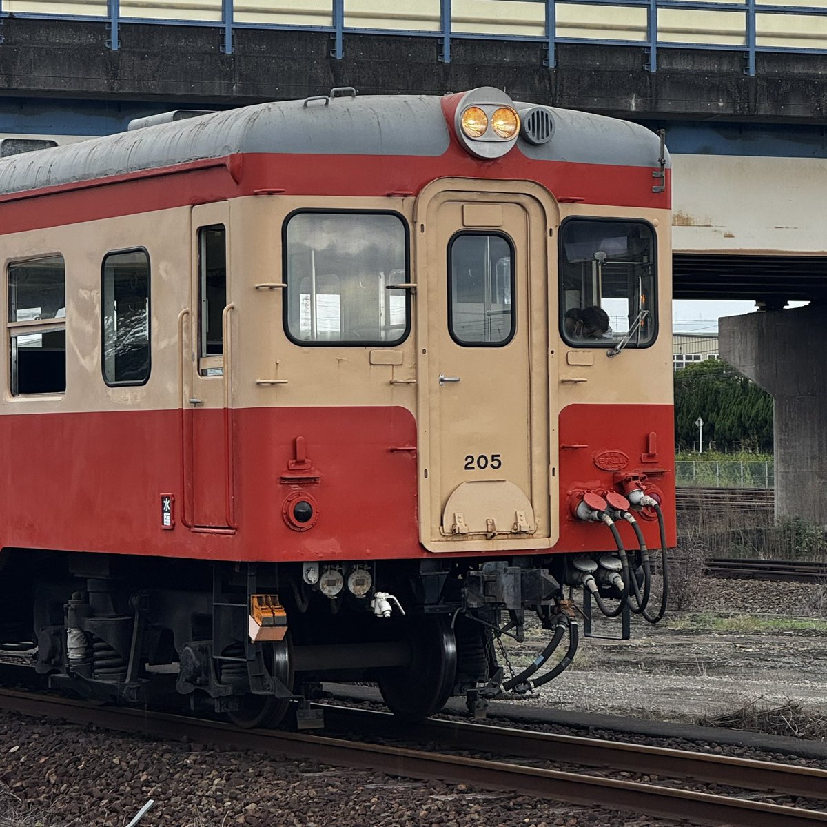 HiroI1987's tweet photo. 今日は水島臨海鉄道さんの鉄道の日記念フェスタへ
お目当てはもちろん、しおねるさんのトークショー！
ずっと素敵な笑顔で質問に答えられていたのが印象的で、私もホッコリした気持ちになりました☺️
最後のハイタッチでは時間の限りお話も出来たのもとても嬉しかったです🥰

ありがとうございました♪ https://t.co/clw6LXTC7B