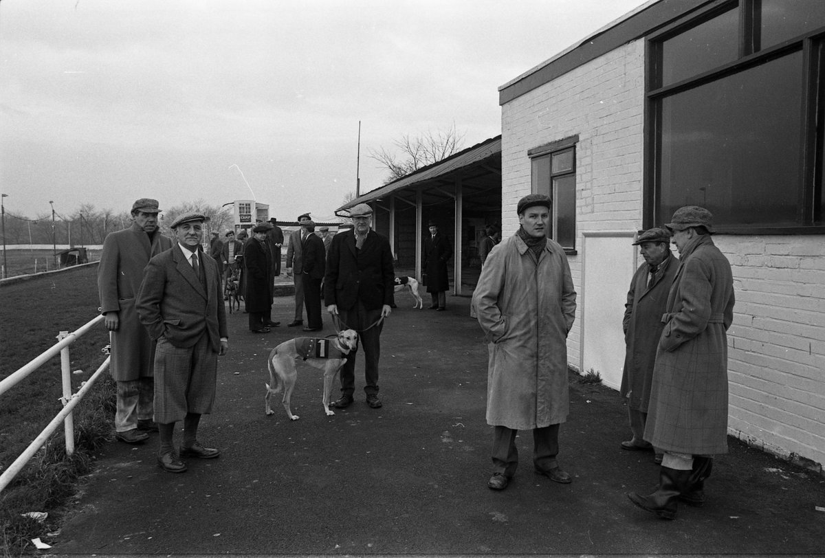 ukbettingsites's tweet photo. And the best-ever episode aired in March 1980, when James Herriot worked as the track vet at Hinkley Greyhound Stadium. https://t.co/gm12fgVwFj