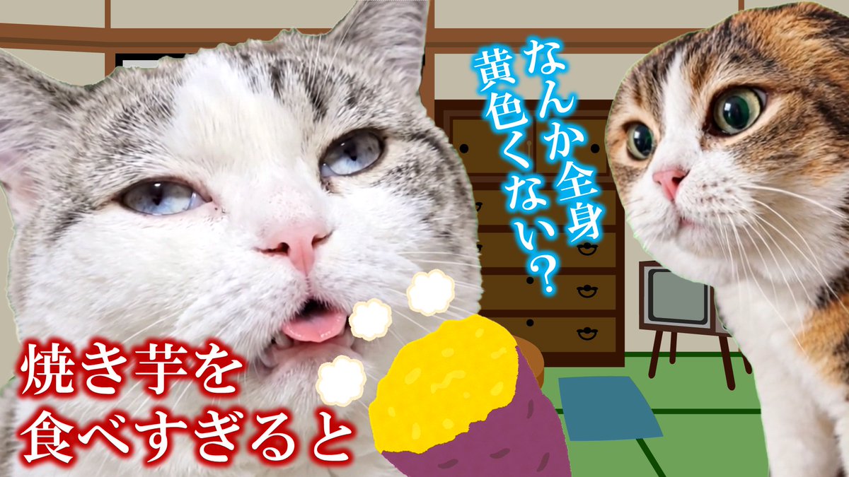 kirizaki_ei's tweet photo. Youtubeに動画を投稿いたした。
ムギミームでござる。

ムギミーム「焼き芋を食べすぎた男の末路」【幕末志士】 https://t.co/1WRInUx0hU @YouTubeより https://t.co/0MvkqHFzkj