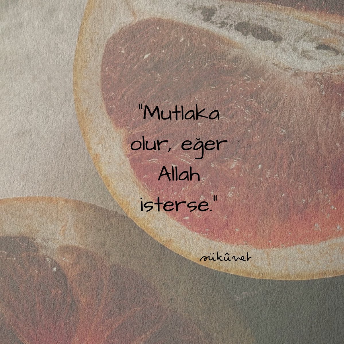 sukunnettt's tweet photo. Allah kadirdir. https://t.co/LNmjssrRvD