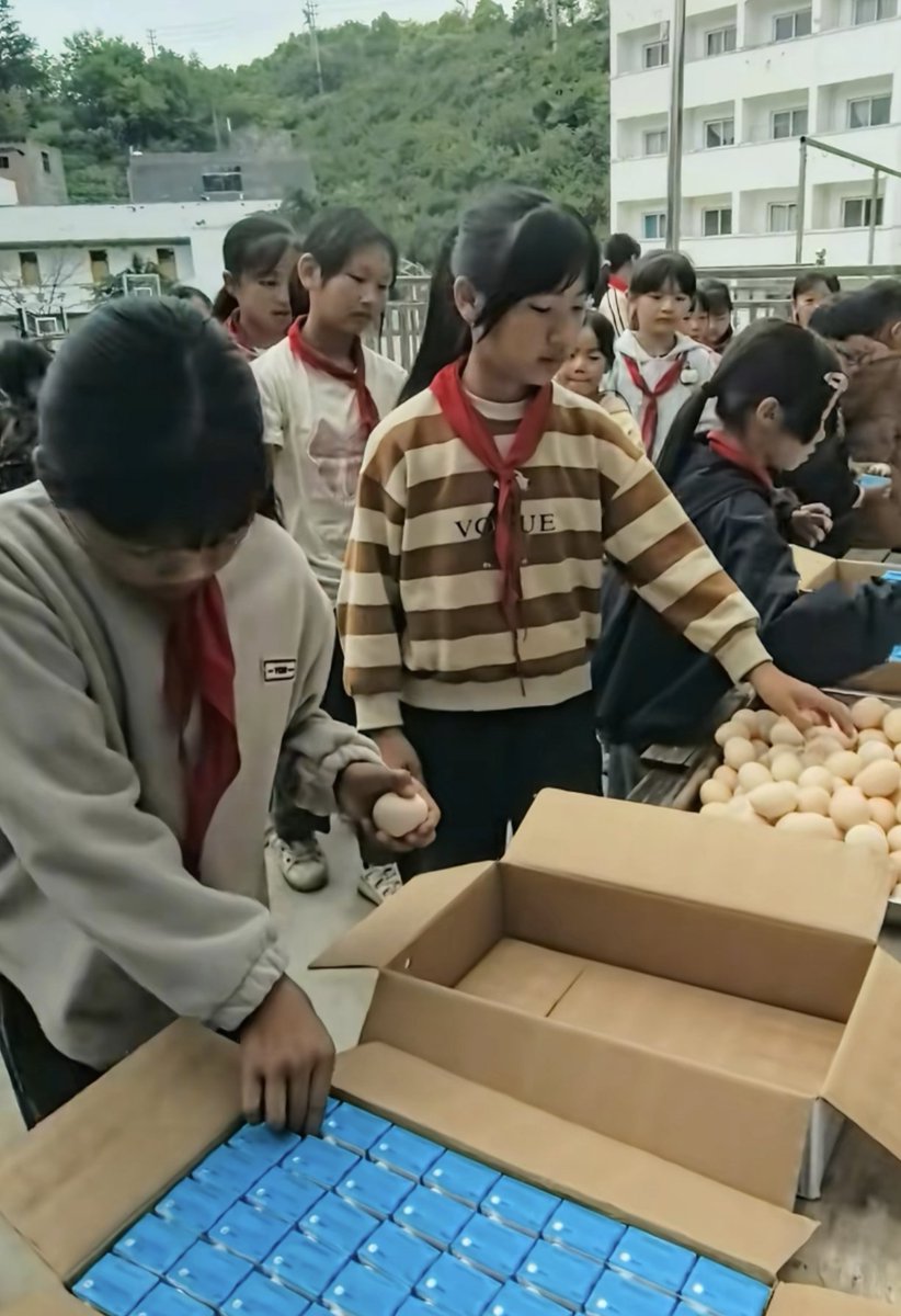 Alancvta2n's tweet photo. Chinese municipal governments are generous with student subsidies—there’s even the legendary “Egg and Milk Project.” During nine-year compulsory education, students get free eggs and milk every morning, sometimes sausage and bread too.#China #SchoolWellness #HealthyEating https://t.co/EBiEQc7EQv