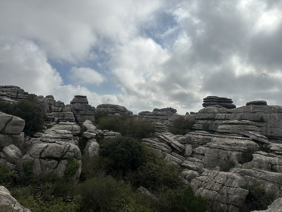 ruiz_espejo's tweet photo. En el Torcal de Antequera su fauna y flora comienzan a prepararse para la llegada del otoño, por más que esta se haga esperar, y los tonos ocres en su paisaje entre claros y nubes se vuelve cada vez más intenso

Maravilla que deseamos seguir contemplando y conservando!

#torcal https://t.co/tqH45q9hYd