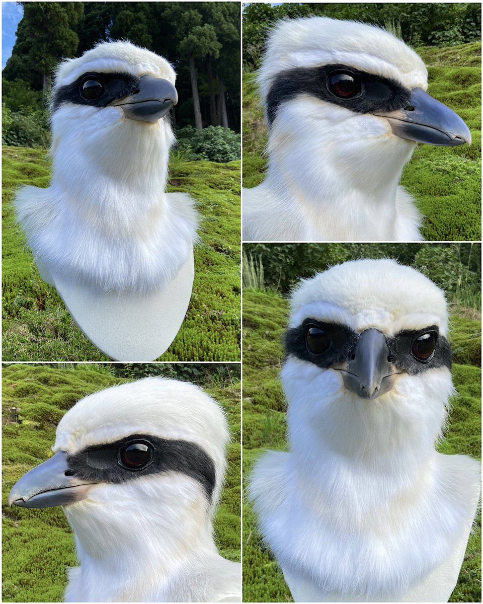 Navy_gull's tweet photo. コミッション！
No.07 オオモズを作成しました。
嘴の透け感と反射時の光沢が最大の魅力✨
ご依頼ありがとうございました🪶 https://t.co/GONnyaukOd
