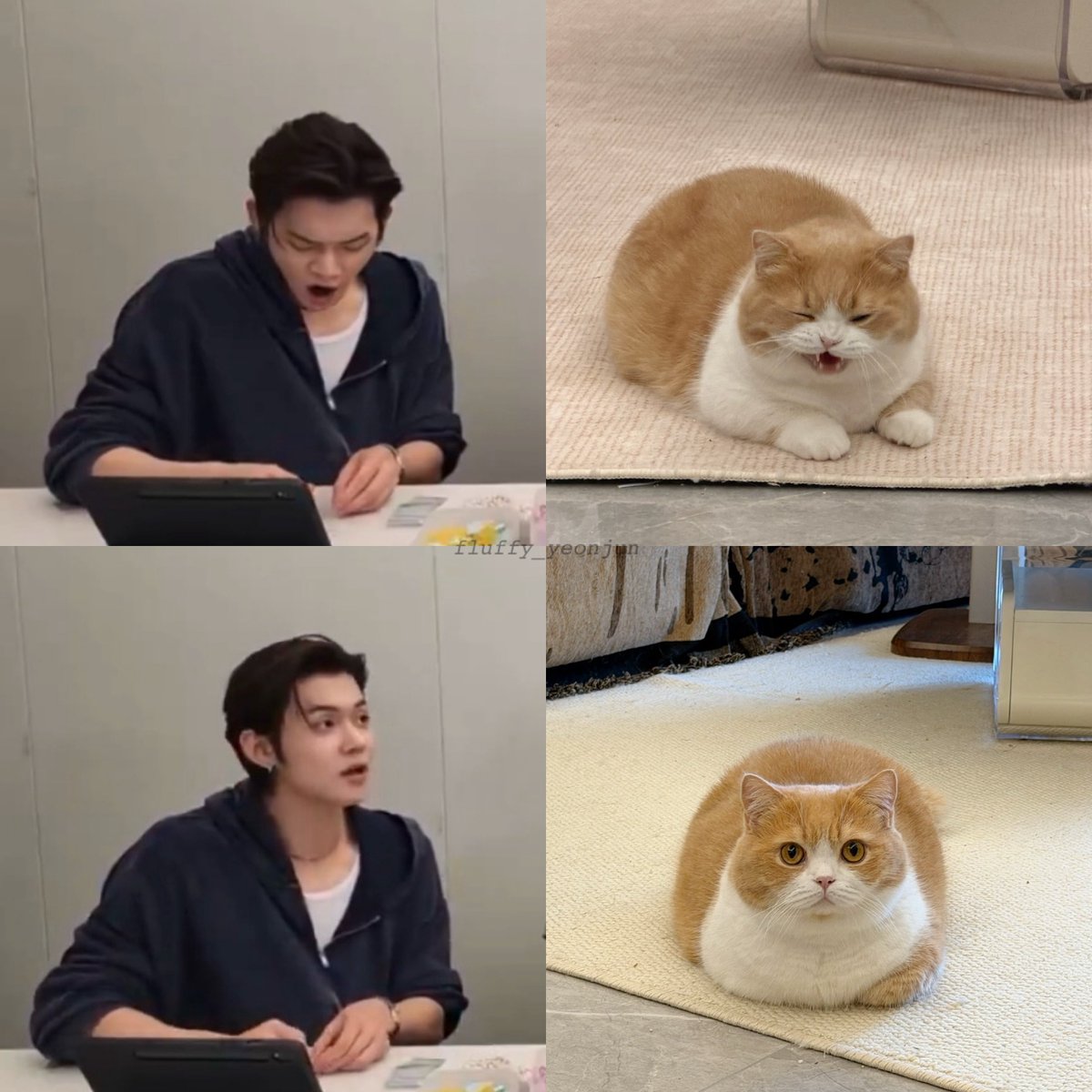 fluffy_Yeonjun's tweet photo. 🥱🐱? https://t.co/pJVR0ZIkEU