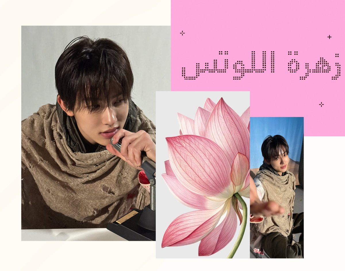 shishareal's tweet photo. ㅤㅤㅤㅤㅤㅤㅤㅤ.   .   . 𝓛𝓸𝓽𝓾𝓼 🪷 https://t.co/4f2zLMALWm