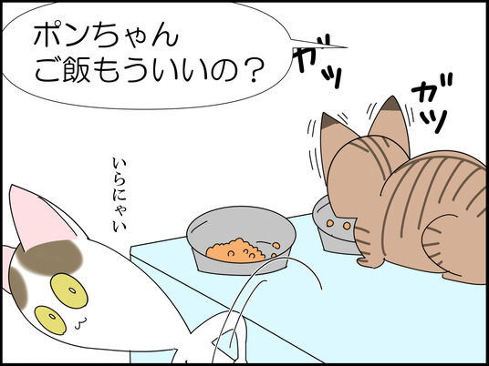 moro000000's tweet photo. 飼い猫が急性腎不全になった話 1/7 https://t.co/Fn6QpEjU1h