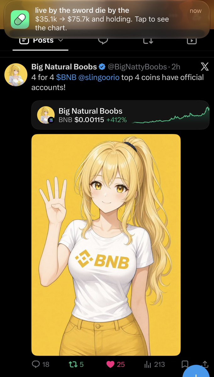 slingoorio's tweet photo. btw banger post @BigNattyBoobs. 

all callout money going to a various number of communities under the big titty eco. 

use code slingoor. 

i use @notrandomdotfun to handle the distribution. 

the ideal scenario is i keep you on your toes. 

hold your coins. 

do not trade one for the other bc a rising tide will lift us all up etc etc. idk. 

retar dio.