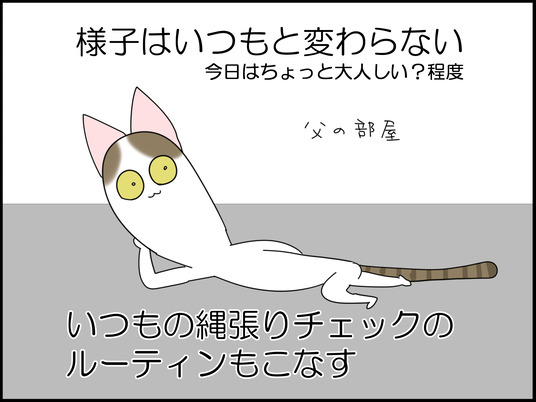 moro000000's tweet photo. 飼い猫が急性腎不全になった話 1/7 https://t.co/Fn6QpEjU1h