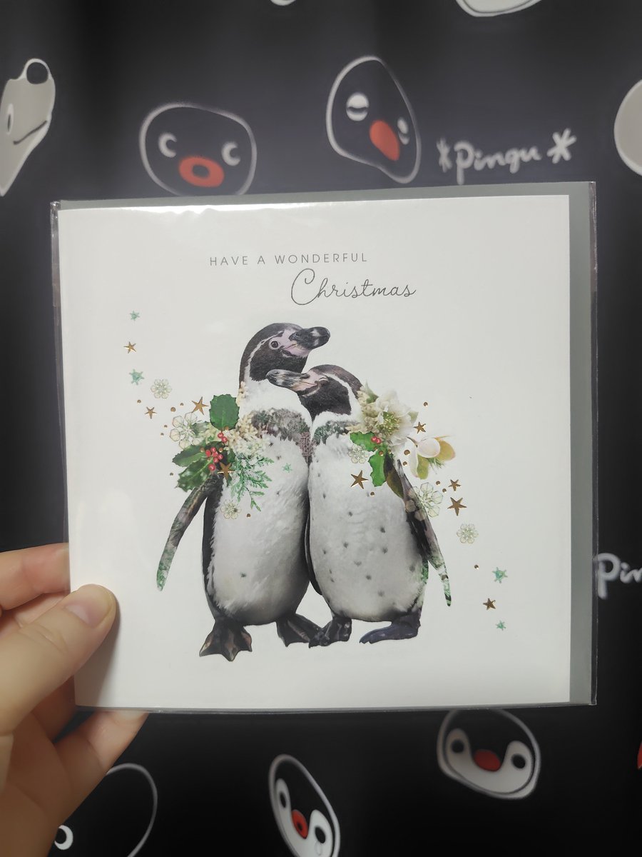 natsuafj's tweet photo. 伊東屋で購入。
昨年買ったのと同じデザインでしたが、ペンギンのカードはいくつあっても良いので☺️
#ぺもの #ペンギン https://t.co/7eWBKLevtQ