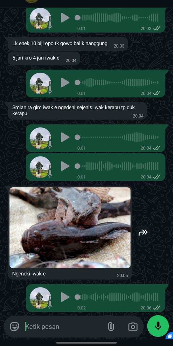 sunfleurex_'s tweet photo. Mancing ket isuk mek oleh cilik² dan medeni😭
Mending tuku nang kedonganan☺️ https://t.co/GgQzpQ0Bu3