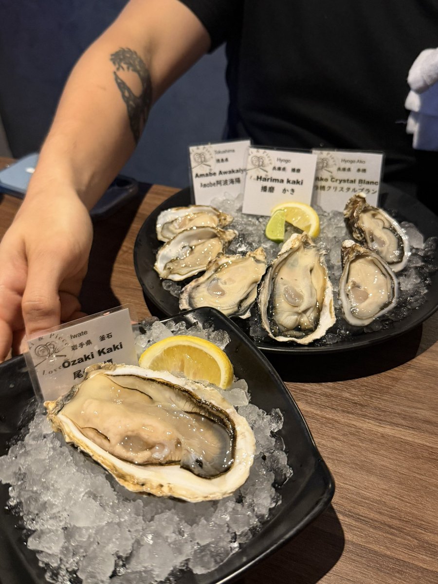 sharerie's tweet photo. Oyster — วันก่อนไปกินมาโคตรจะคุ้ม ลด 50% Oyster สดมากๆ มีให้เลือกหลายสายพันธุ์ กินกับไวน์คือดีสุดๆ 🦪🍷✨ https://t.co/Qext403Pzf