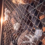 Photo by るま (@rm25eoh)