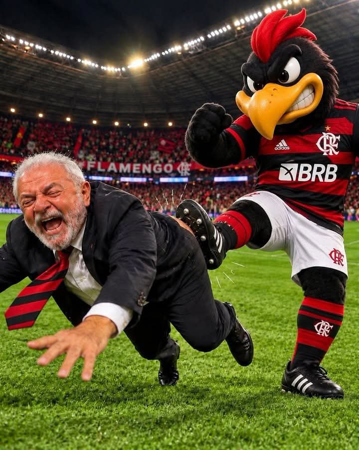 wlmengo's tweet photo. Chegou o grande dia de dar o troco no vagabundo de nove dedos

Ninguém morre nos devendo. 👉2️⃣2️⃣🇧🇷 https://t.co/BIrVT8zUoH