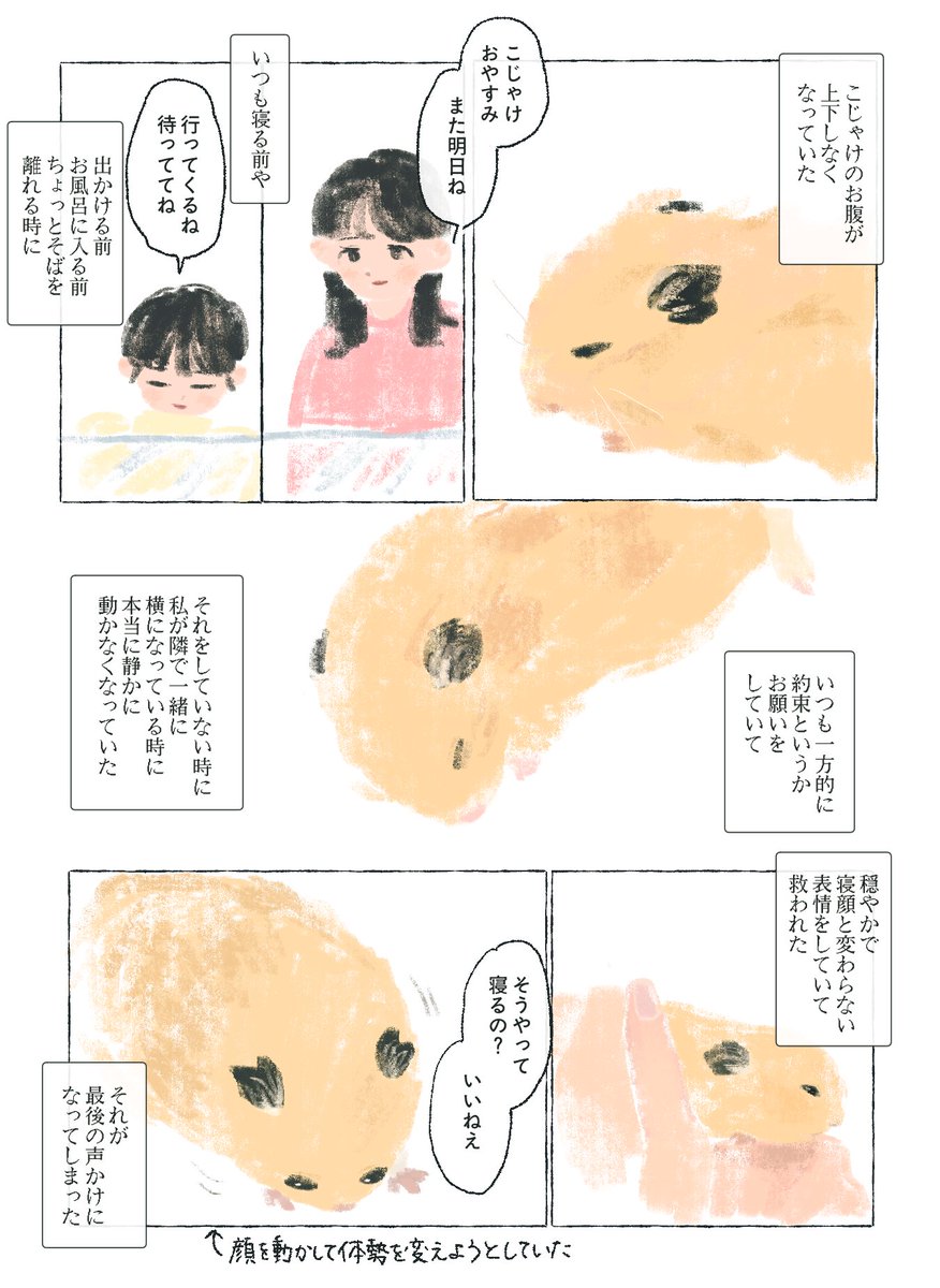 bonyarimo_gu's tweet photo. 10月24日21時15分頃にこじゃけが虹の橋を渡りました。2歳5ヶ月と27日でした。可愛がってくれた方、応援してくれた方、ありがとうございました。
ずっと一緒だよ、と会いたいよ、は両立し得るんだね https://t.co/22FG8xerYD