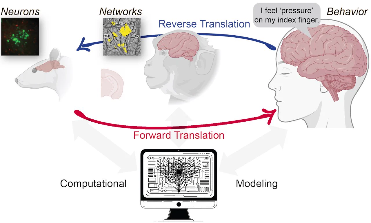TK Kozai (BIONICLab.org) on X: 