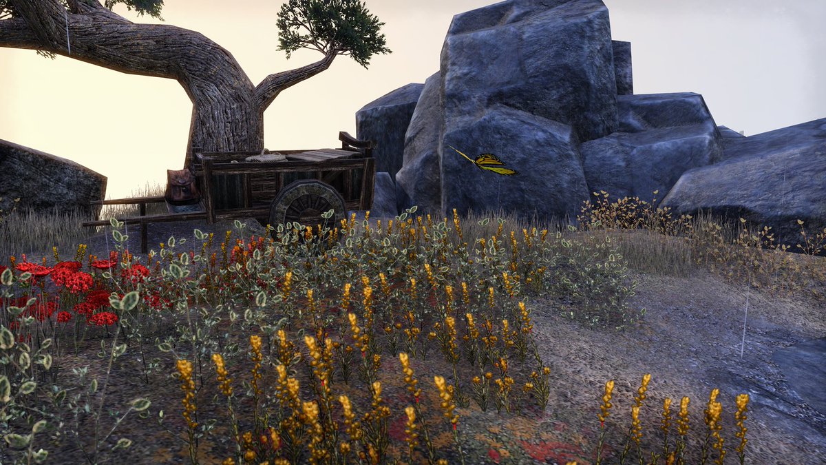 maggietina's tweet photo. Good morning stupid 🦋🐈‍⬛

check out my bio for more  #ThePhotoMode #twitch #rpg #VPUnityHub #VPCommunity #VGPNetwork  #ESOFam #ElderScrollsOnline #Trending #Warcraft #vtuber #palia #conanexiles https://t.co/9PmfIZO9hI