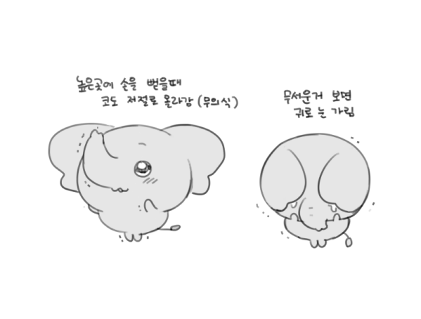 ctctctt's tweet photo. 먼작귀족 코끼리가 보고싶음 https://t.co/6hs02xHM7b