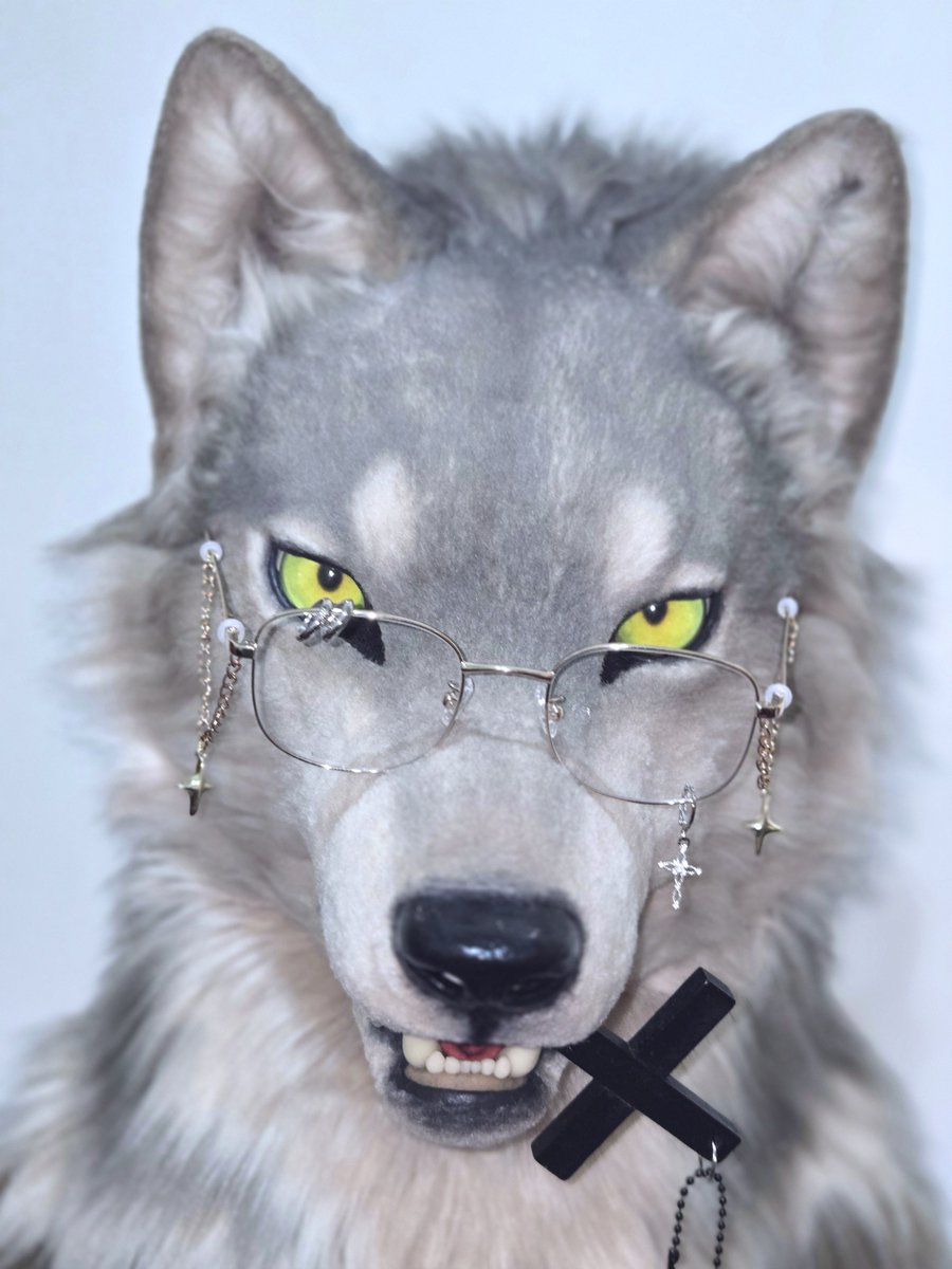 SellyWolf0203's tweet photo. うちのオオカミの双子ちゃん🐺🐺💕 https://t.co/mjSBRKNVks